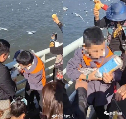 父母帮男孩抓海鸥强行塞进塑料罐，处理结果来了