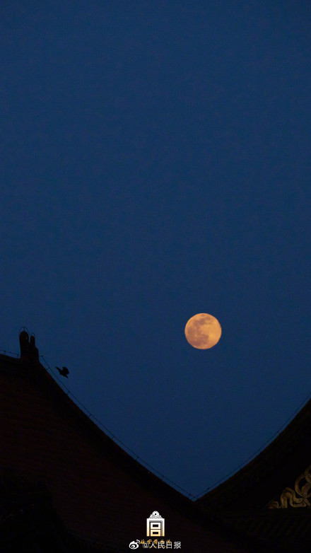 收藏美图！故宫兔年元宵月