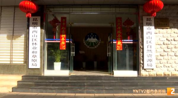 家长带“熊孩子”抓海鸥 官方最新通报！