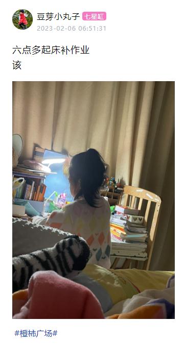 “早上6点多起床补作业，该！”《寒假作业》大戏上映中……