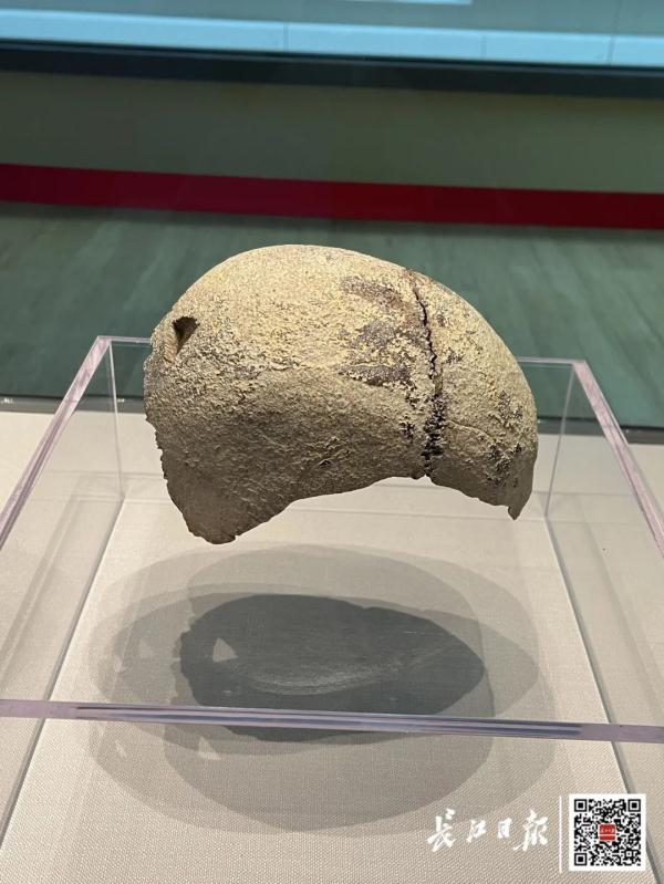 国宝“回家”了 国宝“回家”了