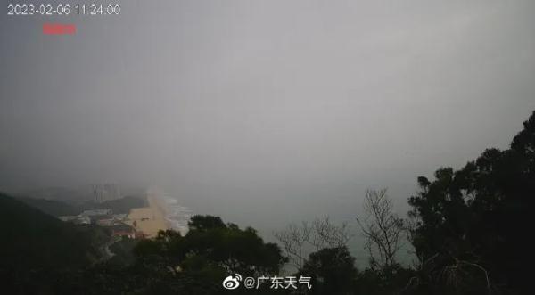 网友体验“伸手不见五指”!广东多地有雾来袭 网友体验“伸手不见五指”!广东多地有雾来袭