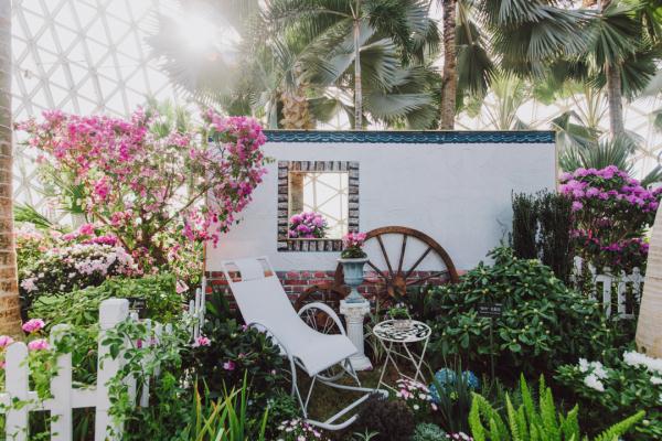 【乐游】赏梅游园会、迎春花展……新春就要花团锦簇，沪上公园花展等你来逛→