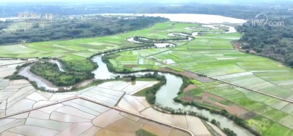 春回大地 无人机航拍各地春耕忙