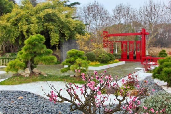 【乐游】赏梅游园会、迎春花展……新春就要花团锦簇，沪上公园花展等你来逛→