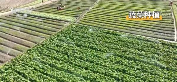 春回大地 无人机航拍各地春耕忙