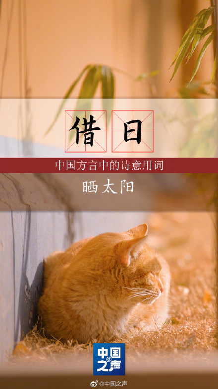 收藏!中国方言中的诗意用词 读来唇齿留香 收藏!中国方言中的诗意用词 读来唇齿留香