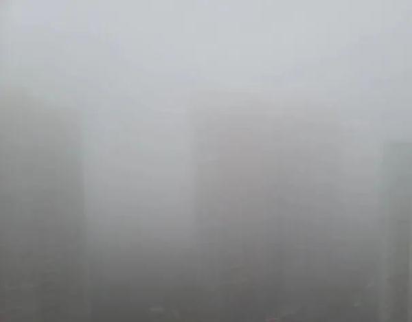 网友体验“伸手不见五指”!广东多地有雾来袭 网友体验“伸手不见五指”!广东多地有雾来袭