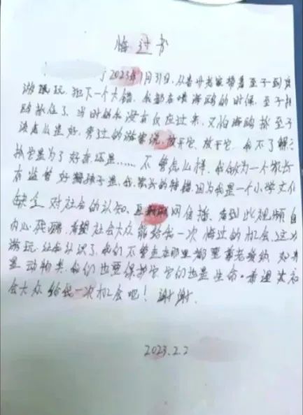 被罚2000元！父母帮孩子抓海鸥塞进瓶子，官方通报