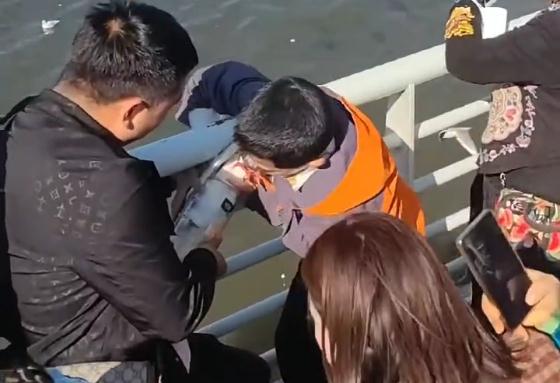 被罚2000元！父母帮孩子抓海鸥塞进瓶子，官方通报
