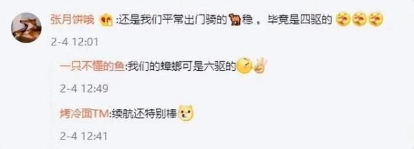 又炸锅了！云南小女孩骑鸵鸟出门，网友：大象限号了