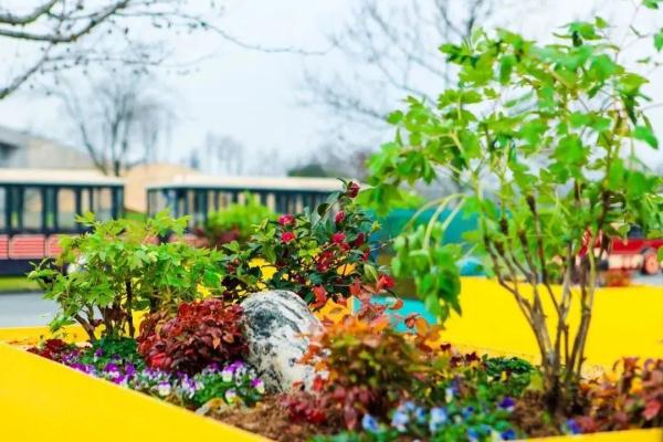 【乐游】赏梅游园会、迎春花展……新春就要花团锦簇，沪上公园花展等你来逛→