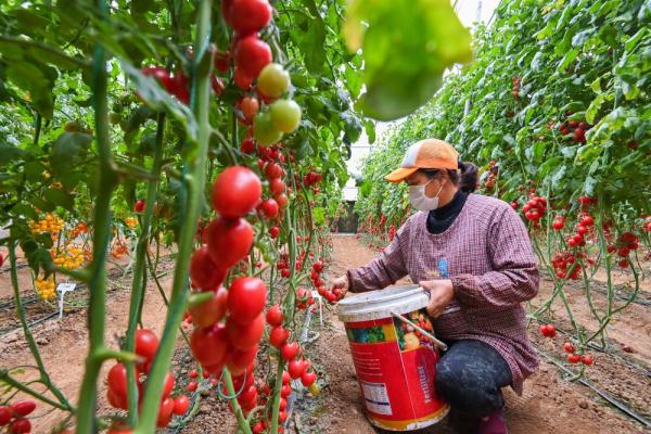 潍坊：“三驾马车”助力高质量发展