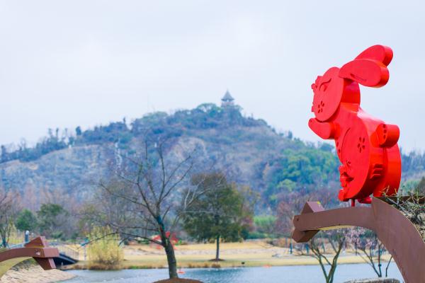 【乐游】赏梅游园会、迎春花展……新春就要花团锦簇，沪上公园花展等你来逛→