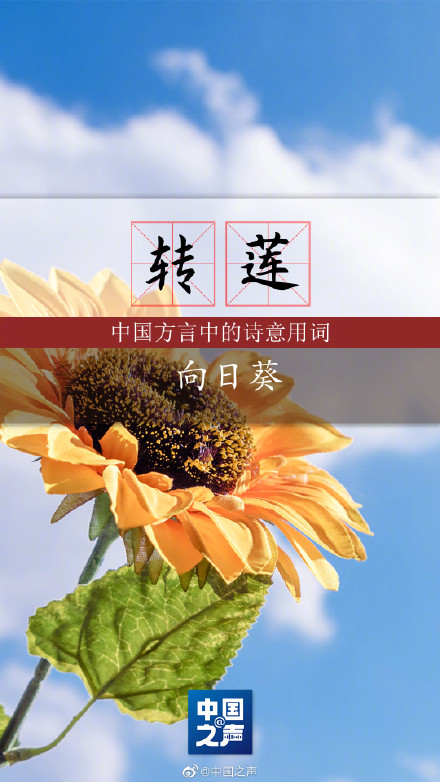 收藏!中国方言中的诗意用词 读来唇齿留香 收藏!中国方言中的诗意用词 读来唇齿留香