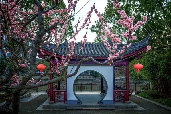 【乐游】赏梅游园会、迎春花展……新春就要花团锦簇，沪上公园花展等你来逛→