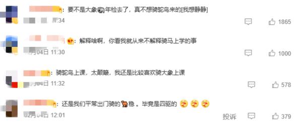 神奇动物在云南 骑鸵鸟的小女孩找到啦~ 神奇动物在云南 骑鸵鸟的小女孩找到啦~