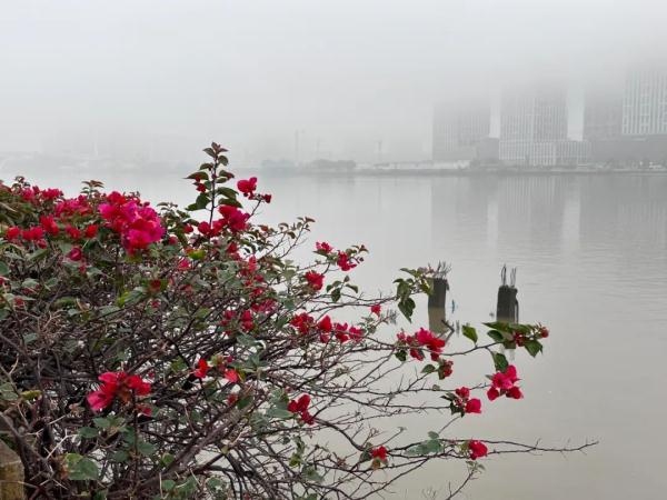 42个预警信号生效！广东发布重大天气情况通告，出行务必小心