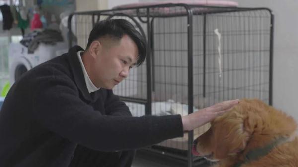 烧脑又惊险!宠物侦探10年寻宠3000多只 烧脑又惊险!宠物侦探10年寻宠3000多只