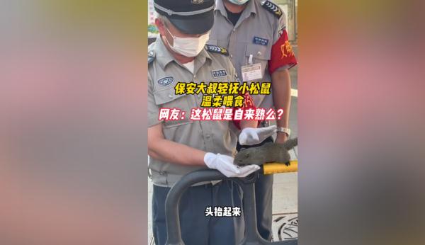 神奇动物在云南 骑鸵鸟的小女孩找到啦~ 神奇动物在云南 骑鸵鸟的小女孩找到啦~