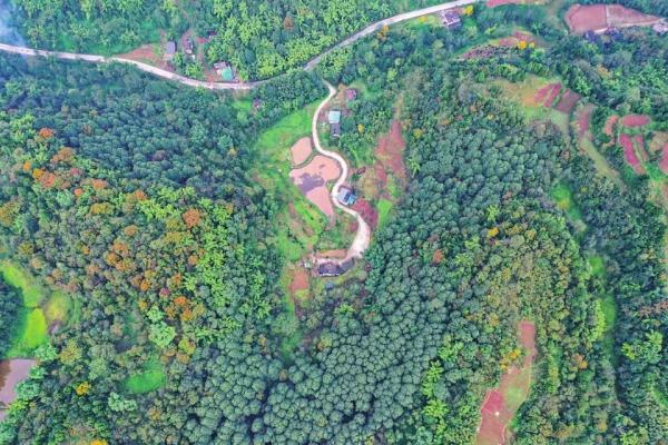 川渝毗邻乡镇共建“双高”楠木林旅游集散中心 川渝毗邻乡镇共建“双高”楠木林旅游集散中心