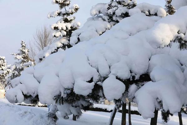今年来最大范围雨雪上线！波及超29省份！北方局地暴雪！山东…