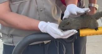 神奇动物在云南 骑鸵鸟的小女孩找到啦~ 神奇动物在云南 骑鸵鸟的小女孩找到啦~