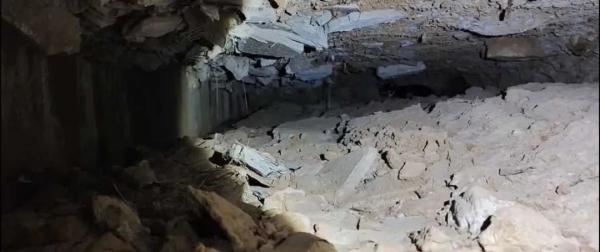 烧脑又惊险!宠物侦探10年寻宠3000多只 烧脑又惊险!宠物侦探10年寻宠3000多只