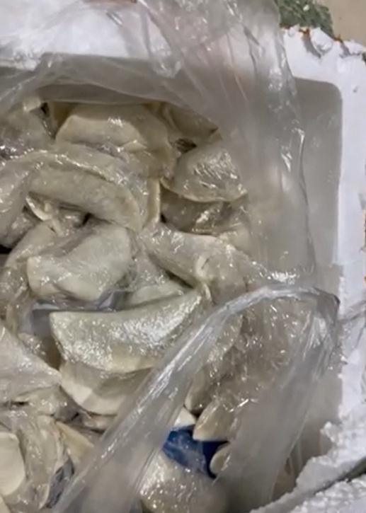 女儿打开妈妈寄来的一大包饺子瞬间破防：每个都是“独立包装”