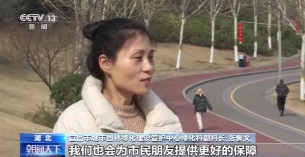 试点扩大公园绿地开放区域！就近露营还有多远？