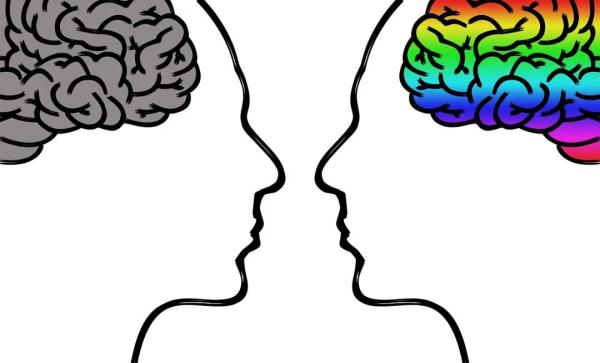 健脑补脑除了核桃还有什么？ 这几种食物要常吃