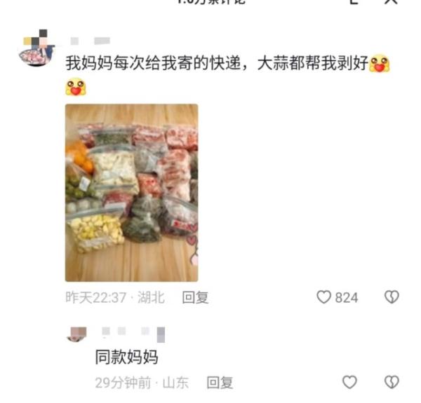 女儿打开妈妈寄来的一大包饺子瞬间破防：每个都是“独立包装”