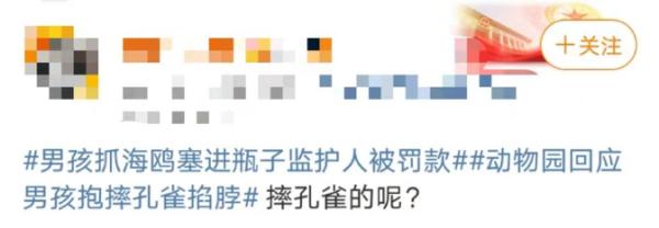 抓海鸥的被罚2000，摔孔雀的口头教育！网友：“为啥不罚款？”