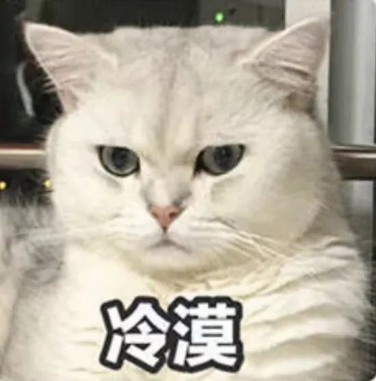“面试HR给我写了3000字回复”