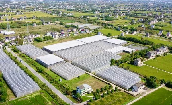 连续19年占据榜首!浙江最会赚钱的农民在这里 连续19年占据榜首!浙江最会赚钱的农民在这里