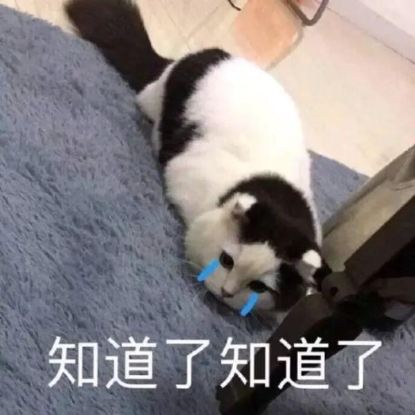 阴天、小雨、中雨！冷暖空气交锋！厦门今起连续七天……