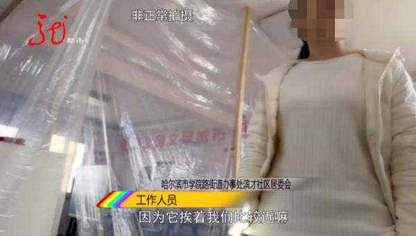 死者是谁？哈尔滨这一小区附近，竟然出现坟墓、花圈！