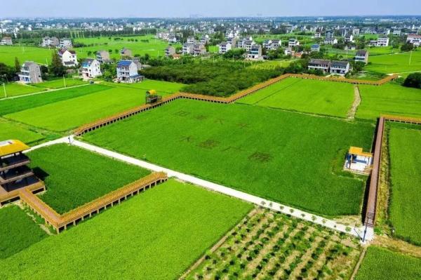 连续19年占据榜首!浙江最会赚钱的农民在这里 连续19年占据榜首!浙江最会赚钱的农民在这里