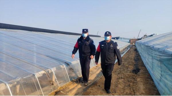 十二只羊“集体出逃”,羊村也有“开学季”? 十二只羊“集体出逃”,羊村也有“开学季”?