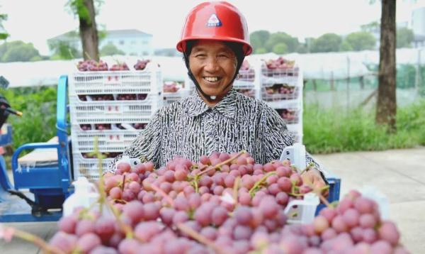 连续19年占据榜首!浙江最会赚钱的农民在这里 连续19年占据榜首!浙江最会赚钱的农民在这里