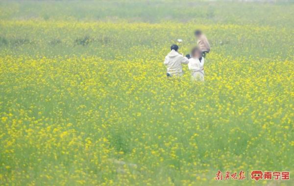 春天花粉过敏怎么办?听听专家怎么说 春天花粉过敏怎么办?听听专家怎么说