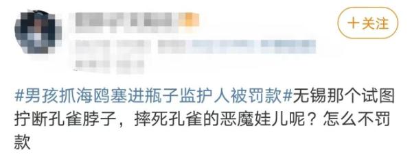 抓海鸥的被罚2000，摔孔雀的口头教育！网友：“为啥不罚款？”