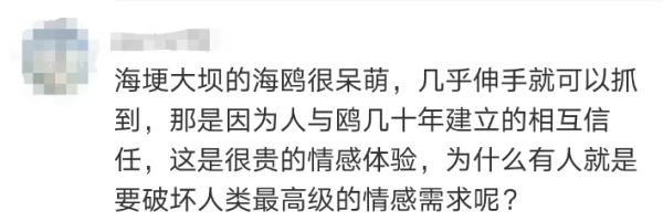 抓海鸥的被罚2000，摔孔雀的口头教育！网友：“为啥不罚款？”