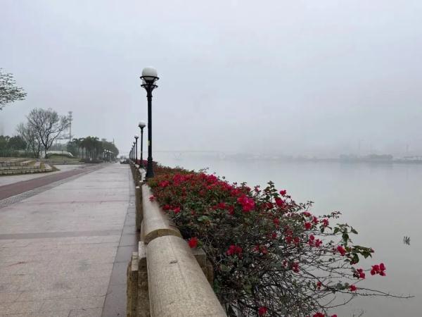 回南天又“杀”到，大雾把广州塔“藏”起来了，阳光要等到…