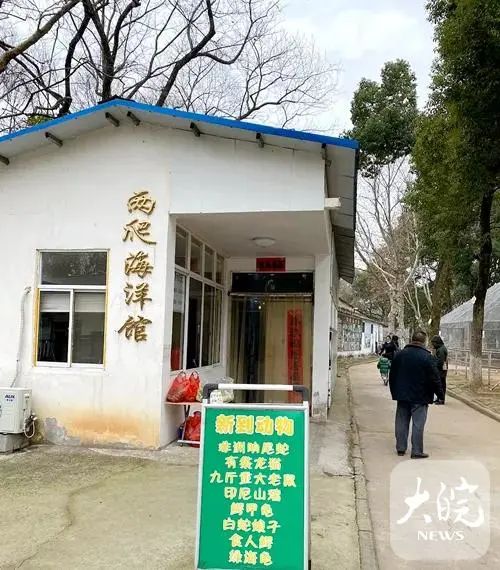 "九斤重大老鼠"身份查清了！