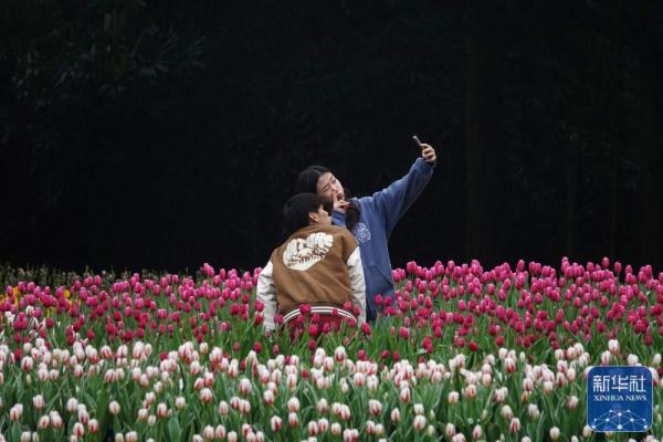 春来花开早
