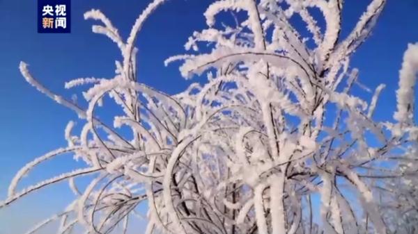 如梦似幻!黑龙江密山初春雾凇“绽放” 如梦似幻!黑龙江密山初春雾凇“绽放”