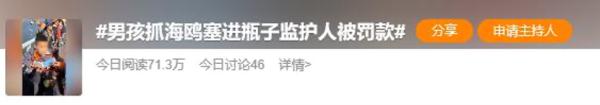 抓海鸥的被罚2000，摔孔雀的口头教育！网友：“为啥不罚款？”