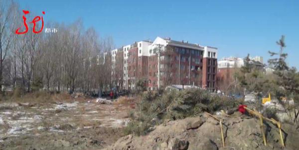 死者是谁？哈尔滨这一小区附近，竟然出现坟墓、花圈！