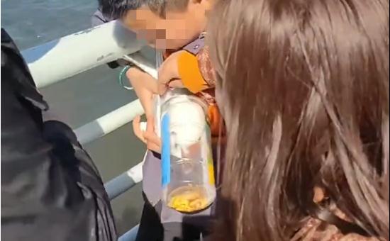 抓海鸥的被罚2000，摔孔雀的口头教育！网友：“为啥不罚款？”
